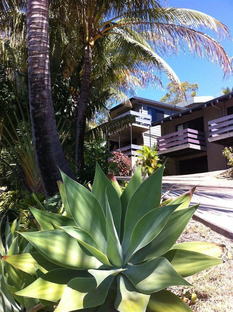 Unit 1 Sunbird On Lamond Villa Airlie Beach Exteriör bild